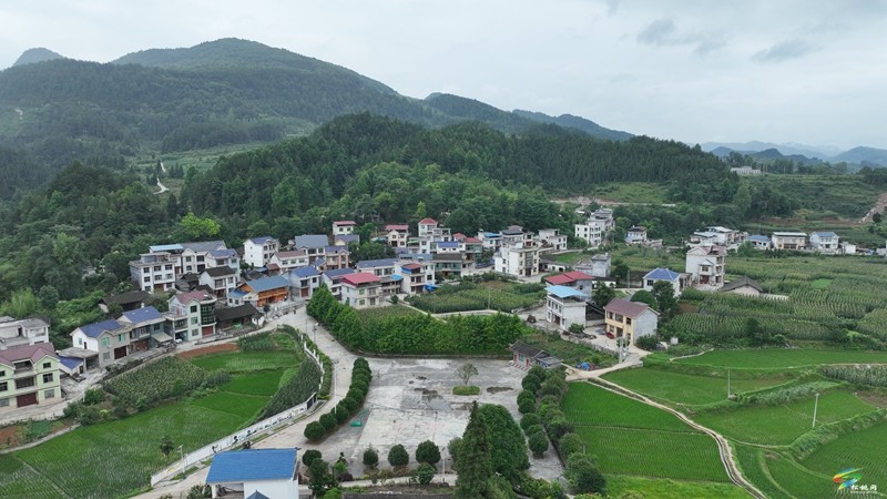 迓駕鎮(zhèn)青山村：借鑒“千萬(wàn)工程”經(jīng)驗(yàn)  解鎖鄉(xiāng)村振興“密碼”