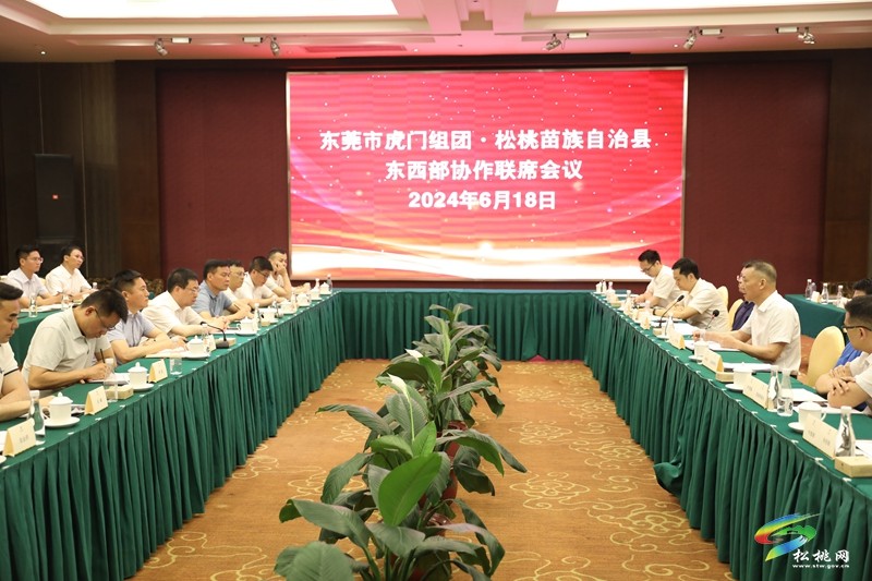 【粵黔協(xié)作·莞愛銅行】陳琪率隊赴東莞市虎門組團對接東西部協(xié)作工作