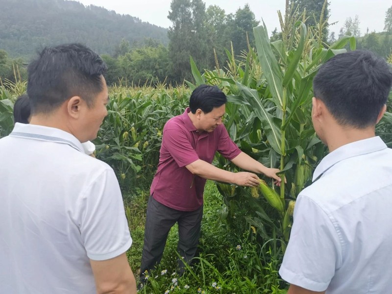 穆嶸坤到碧江區(qū)、松桃苗族自治縣檢查防汛并調(diào)研鄉(xiāng)村振興工作