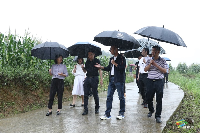 【粵黔協(xié)作·莞愛銅行】東莞市麻涌鎮(zhèn)到我縣開展東西部協(xié)作結(jié)對交流調(diào)研