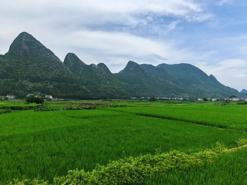 盡顯夏日“清涼”魅力 萬峰林多業(yè)態(tài)激活避暑經(jīng)濟(jì)