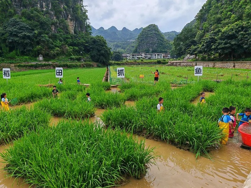 盡顯夏日“清涼”魅力 萬峰林多業(yè)態(tài)激活避暑經(jīng)濟(jì)