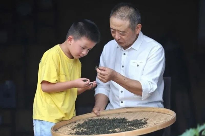 走進銅仁,探尋一片葉子的故事