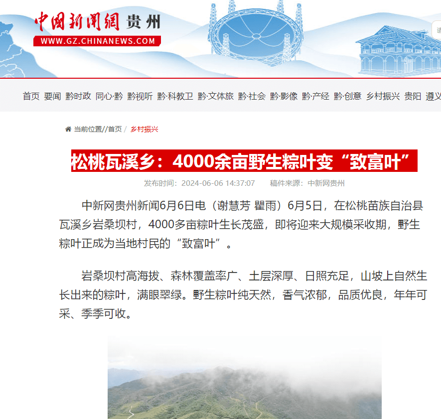 【成績單來了！】松桃2024年6月份對外宣傳成績單