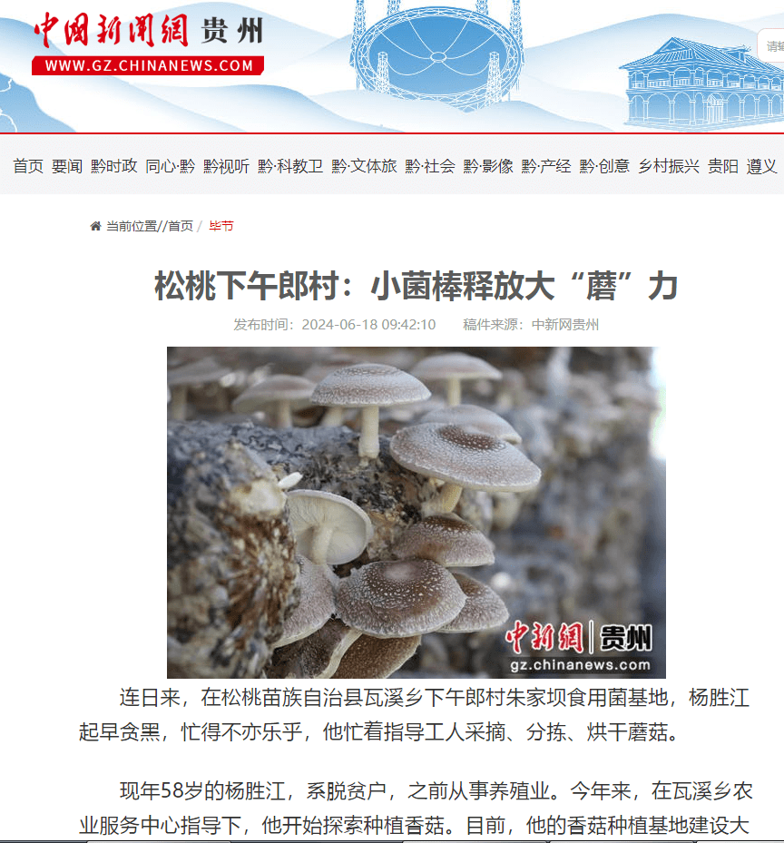 【成績單來了！】松桃2024年6月份對外宣傳成績單
