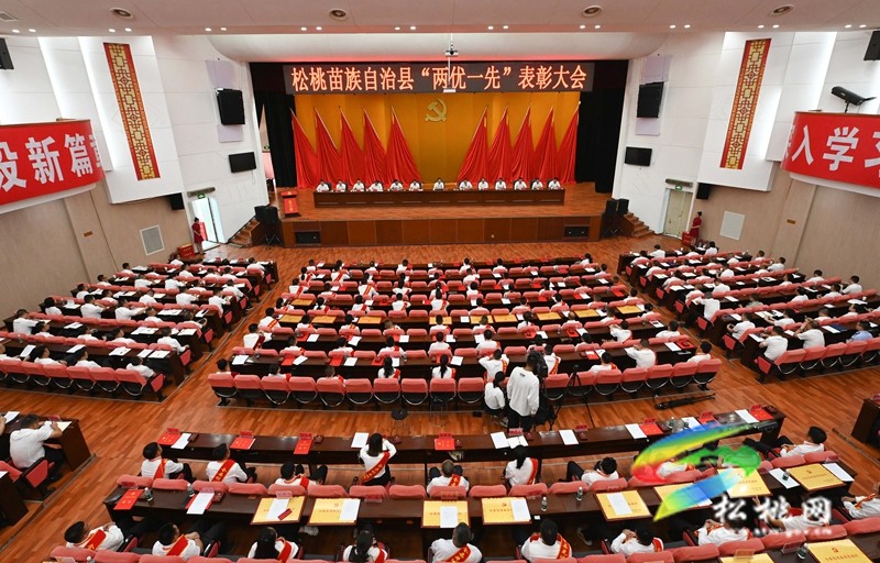 全縣“兩優(yōu)一先”表彰大會舉行