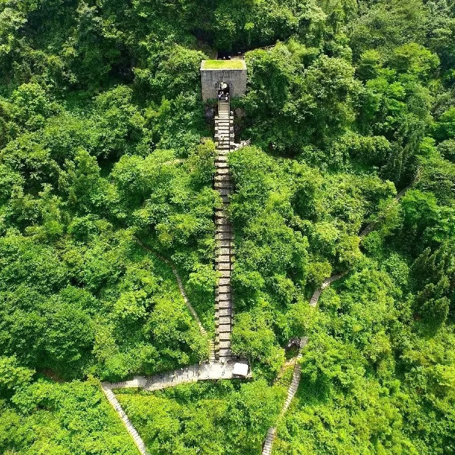 遵義這個(gè)“屯”，何以吸引世界目光？