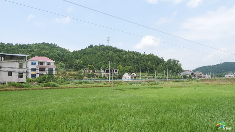 盤(pán)石鎮(zhèn)盤(pán)石村：以“千萬(wàn)工程”為引領(lǐng)   繪就鄉(xiāng)村振興新圖景
