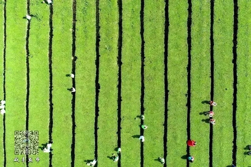 山水同源、武陵同夢(mèng)！2024武陵文旅大會(huì)何以咸豐