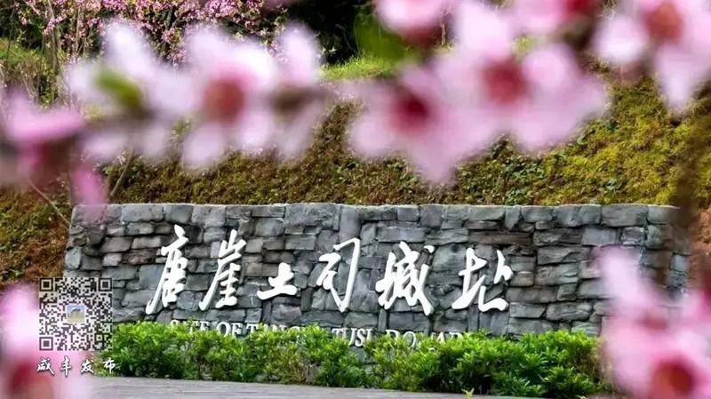 山水同源、武陵同夢(mèng)！2024武陵文旅大會(huì)何以咸豐