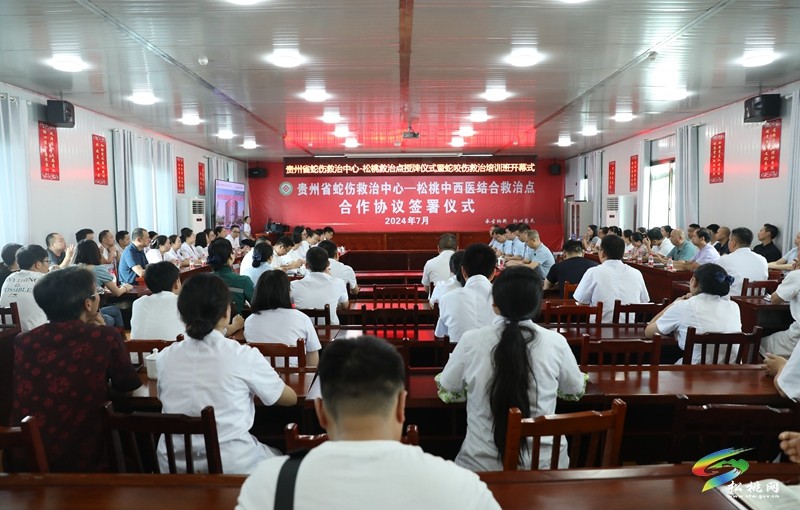 松桃首家!貴州省蛇傷救治中心——松桃中西醫(yī)結(jié)合救治點(diǎn)落戶松桃民族中醫(yī)院