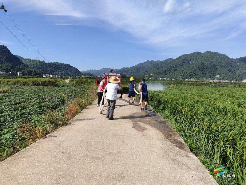 解民憂(yōu)、潤(rùn)民心——普覺(jué)鎮(zhèn)專(zhuān)職消防隊(duì)為水稻基地送去“及時(shí)雨”