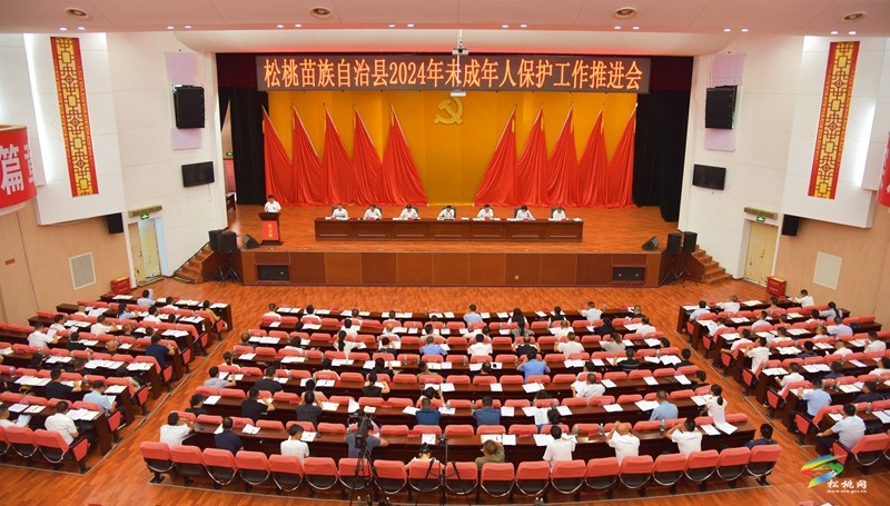 全縣2024年未成年人保護(hù)工作推進(jìn)會(huì)召開