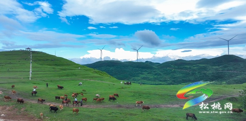 這樣的避暑圣地，你還不來(lái)嗎？