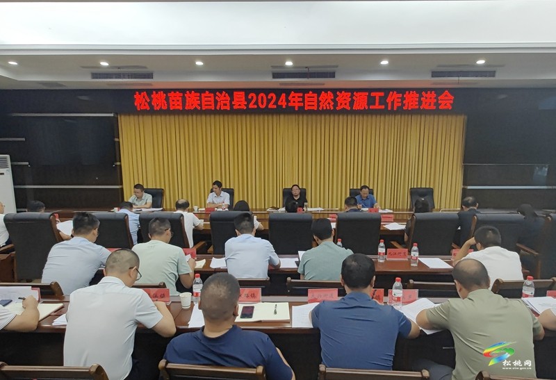 全縣2024年自然資源工作推進會召開