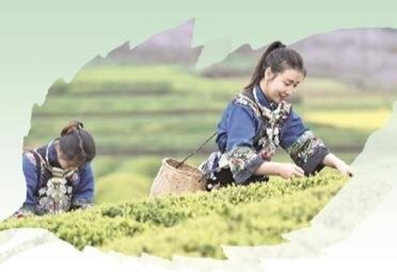 松桃千山逐綠向新行