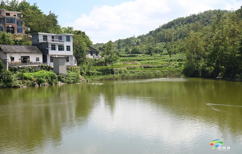 盤石鎮(zhèn)仁廣村：鄉(xiāng)村美如畫