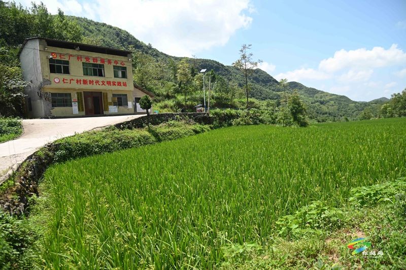 盤石鎮(zhèn)仁廣村：鄉(xiāng)村美如畫