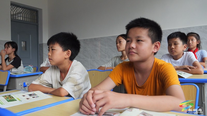 迓駕鎮(zhèn)：鄉(xiāng)村“擺渡人”任達(dá)兵