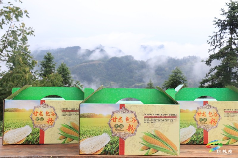 甘龍鎮(zhèn)：發(fā)展特色產(chǎn)業(yè) 助力強(qiáng)村富民