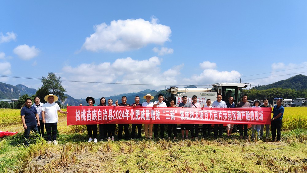 烏羅鎮(zhèn):稻穗飄香“迎”秋黃 水稻測產(chǎn)“望”豐收