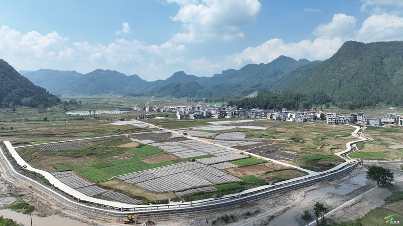 普覺鎮(zhèn)：“稻—耳”輪作忙 靜待“耳”飄香