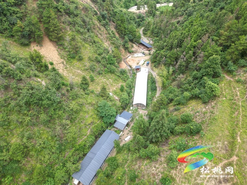 牛郎鎮(zhèn)：山羊養(yǎng)殖有“錢(qián)途” 農(nóng)民致富“喜洋洋”