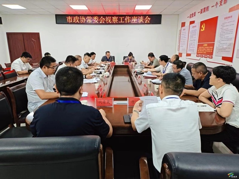 市政協(xié)常委會(huì)來松調(diào)研新型能源風(fēng)電、光伏產(chǎn)業(yè)發(fā)展工作