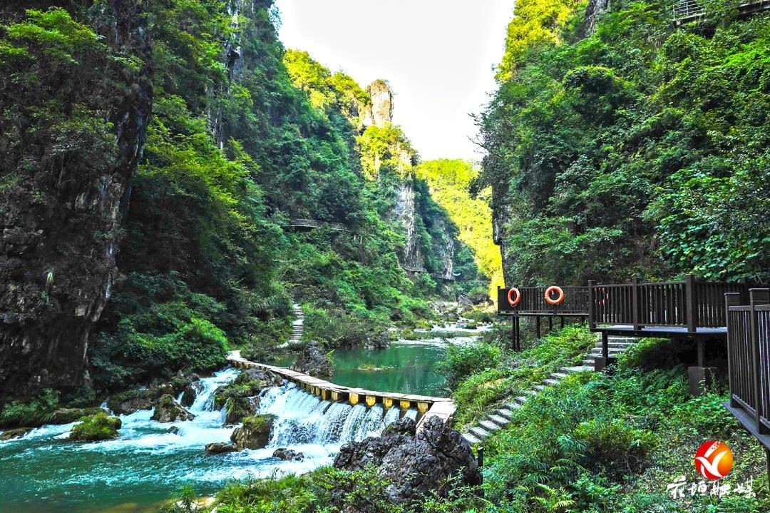古苗河百瀑大峽谷：山水好清涼 避暑好地方