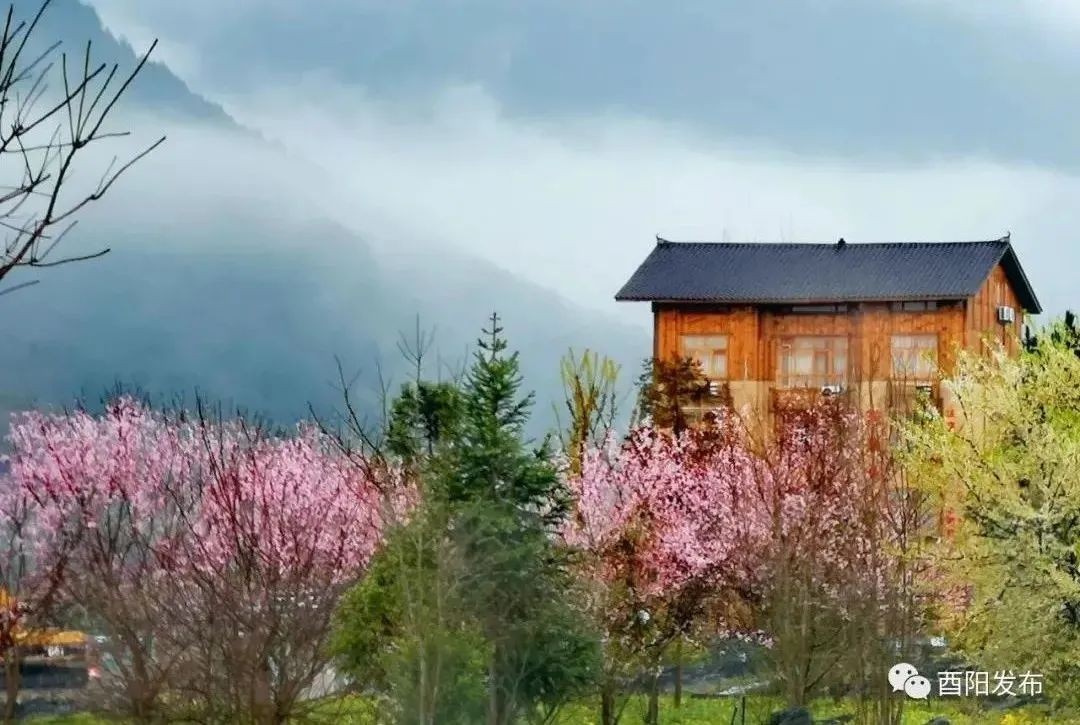 鄉(xiāng)村旅游火起來(lái)、村民腰包鼓起來(lái)、美麗鄉(xiāng)村富起來(lái)！板溪鎮(zhèn)扎營(yíng)村蝶變的背后……
