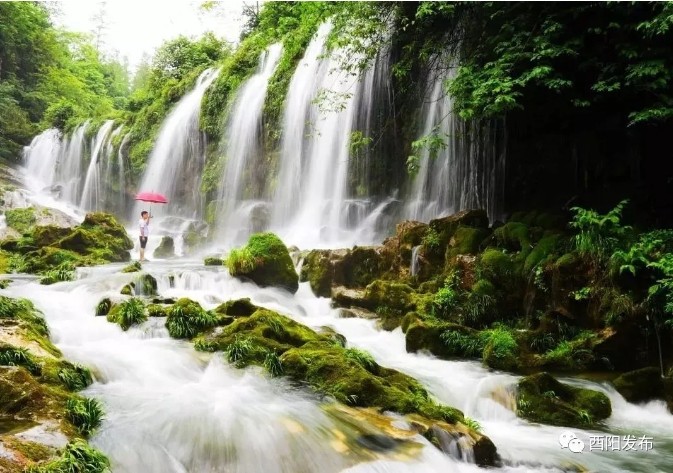 ?高山民宿避暑、峽谷漂流探險(xiǎn)……?酉陽(yáng)清涼山水激活“避暑經(jīng)濟(jì)”！