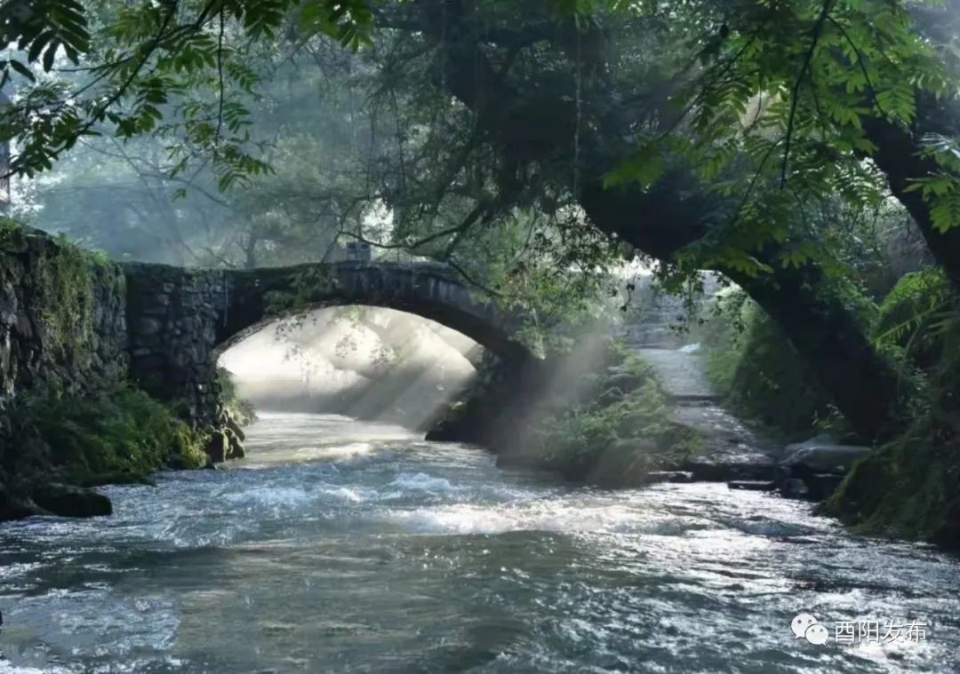 ?高山民宿避暑、峽谷漂流探險(xiǎn)……?酉陽(yáng)清涼山水激活“避暑經(jīng)濟(jì)”！