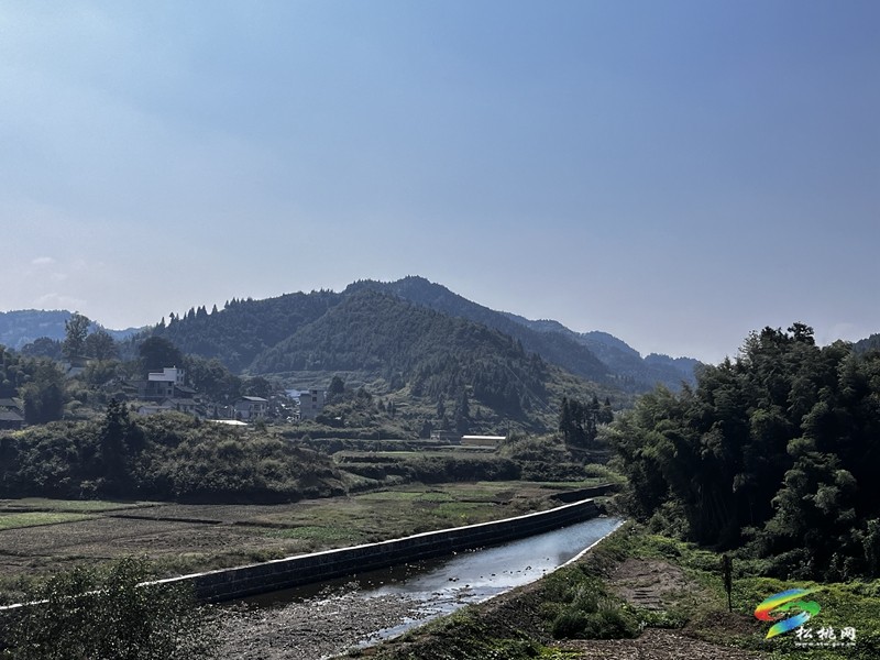 平頭鎮(zhèn)：執(zhí)五筆繪五色，描繪鄉(xiāng)村多彩畫卷