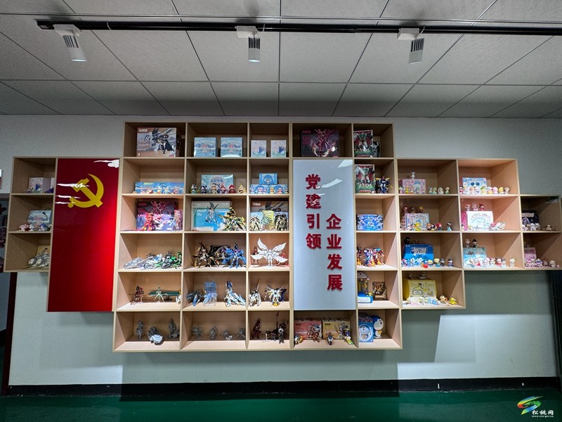 松桃：“玩具夢工廠”助力殘疾人圓“就業(yè)夢”