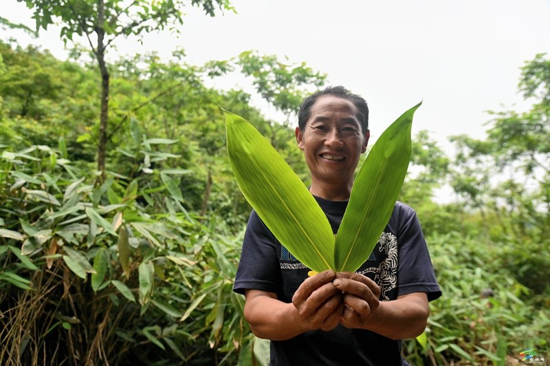【武陵山區(qū)域媒體聯(lián)盟蹲點報道——紅色印跡·大美松桃】松桃瓦溪：山間珍寶插翅騰飛銷往海外