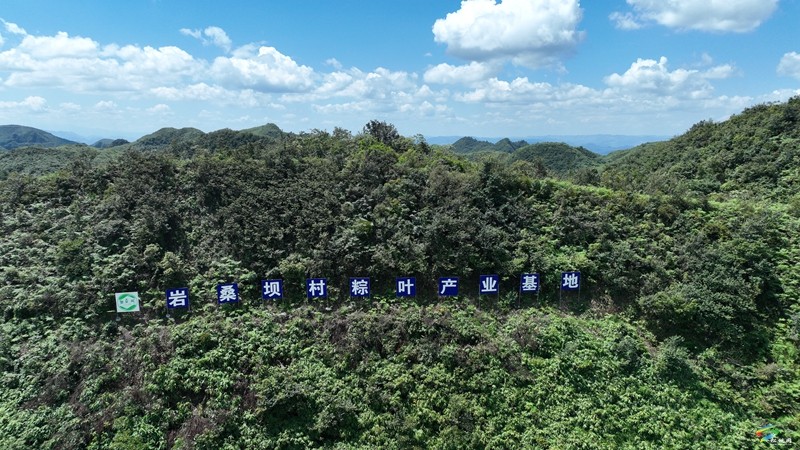【武陵山區(qū)域媒體聯(lián)盟蹲點報道——紅色印跡·大美松桃】松桃瓦溪：山間珍寶插翅騰飛銷往海外