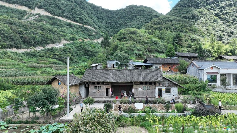 【武陵山區(qū)域媒體聯(lián)盟蹲點報道——紅色印跡·大美松桃】松桃瓦溪：山間珍寶插翅騰飛銷往海外