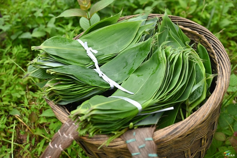 【武陵山區(qū)域媒體聯(lián)盟蹲點報道——紅色印跡·大美松桃】松桃瓦溪：山間珍寶插翅騰飛銷往海外
