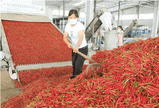 【武陵視界】紀(jì)念紅二、紅六軍團(tuán)木黃會(huì)師90周年 | 印江：傳承紅色基因 推動(dòng)綠色發(fā)展