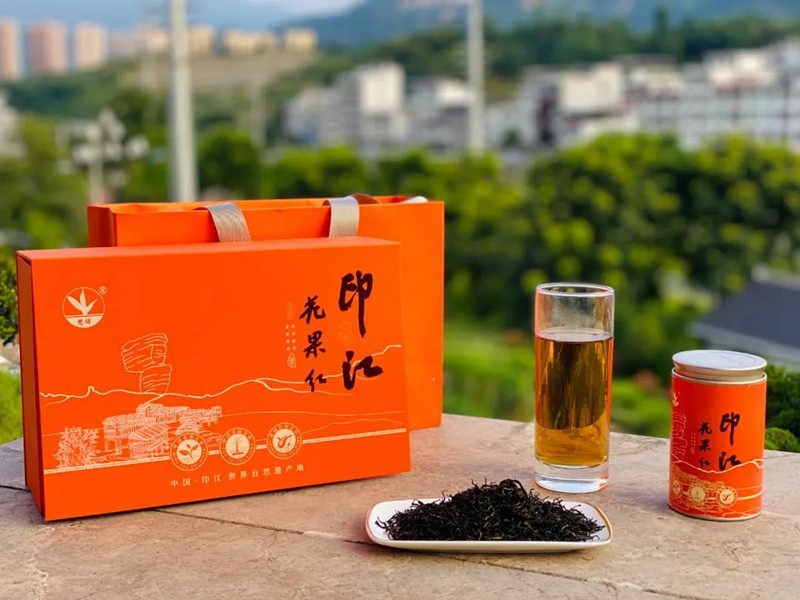 【武陵視界】綠樹開紅花 一葉富萬民——印江自治縣“紅綠”驅動茶產業(yè)高質量發(fā)展