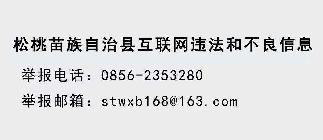 【粵黔協(xié)作·莞愛(ài)銅行】東莞濱海灣新區(qū)赴松桃開(kāi)展東西部協(xié)作調(diào)研走訪活動(dòng)