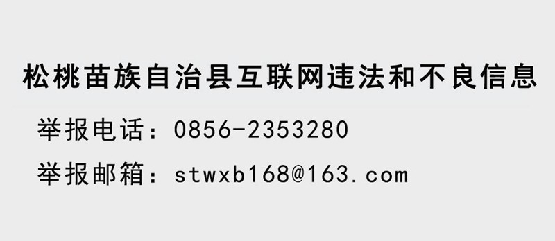 銅仁市2022年下半年事業(yè)單位公開招聘應(yīng)征入伍大學(xué)畢業(yè)生2024年退役松桃苗族自治縣擬聘用公示