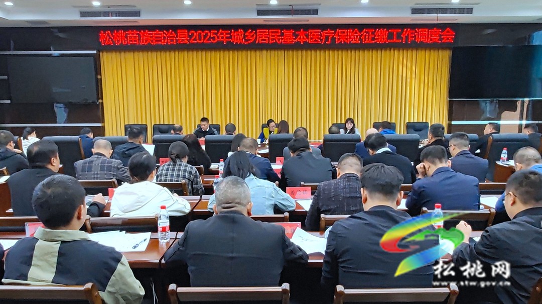 全縣2025年城鄉(xiāng)居民基本醫(yī)療保險(xiǎn)征繳工作調(diào)度會(huì)召開(kāi)