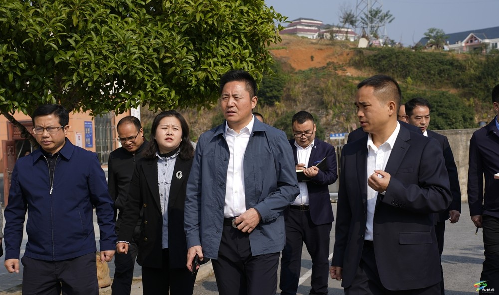 陳琪到城區(qū)中小學(xué)校調(diào)研