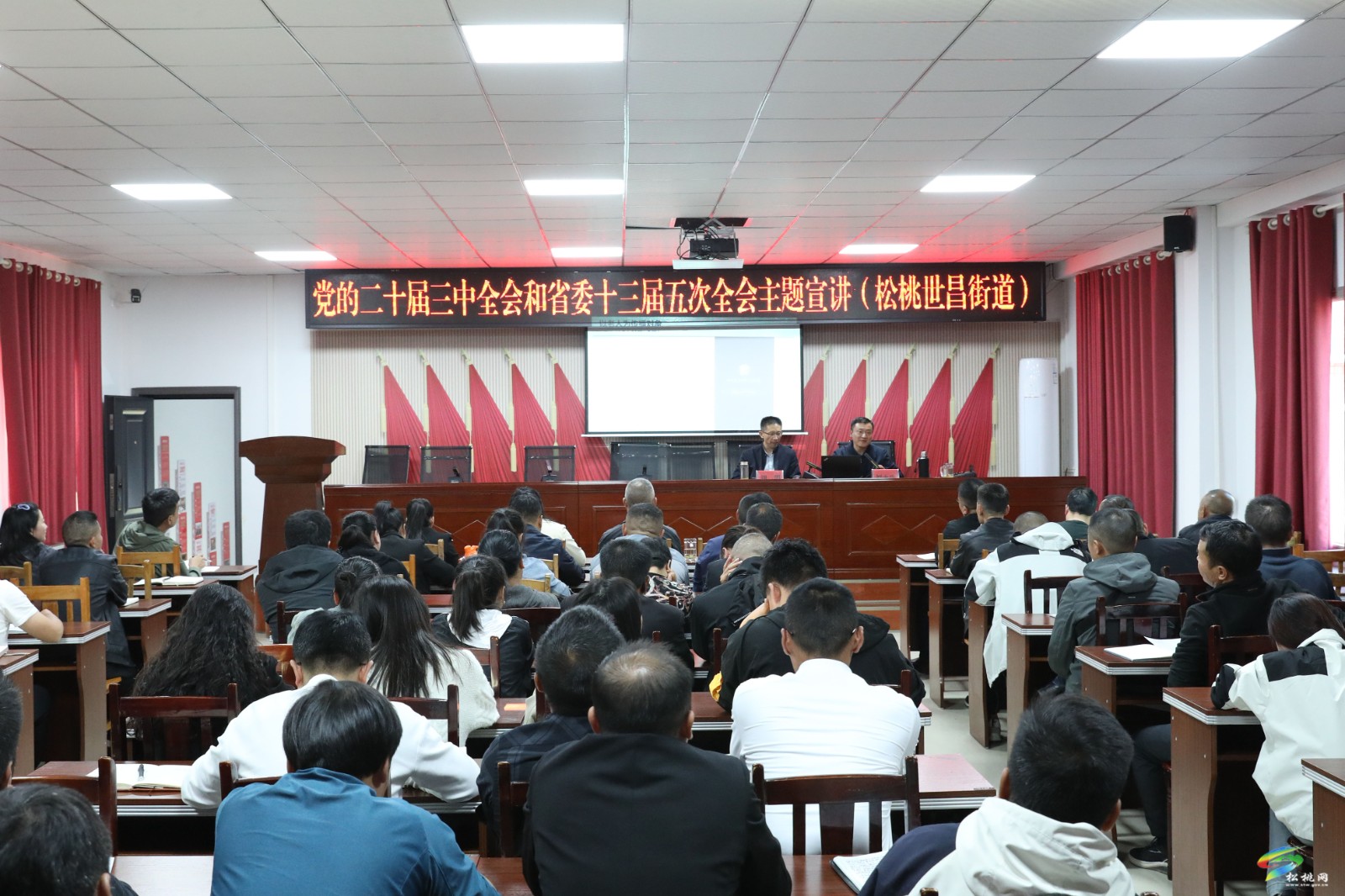 省、市宣講團(tuán)來松宣講黨的二十屆三中全會精神