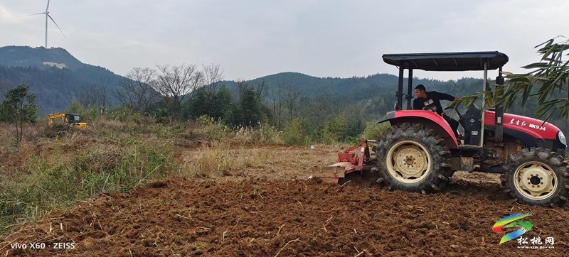 盤石鎮(zhèn)：執(zhí)耕地“筆”繪振興“圖”