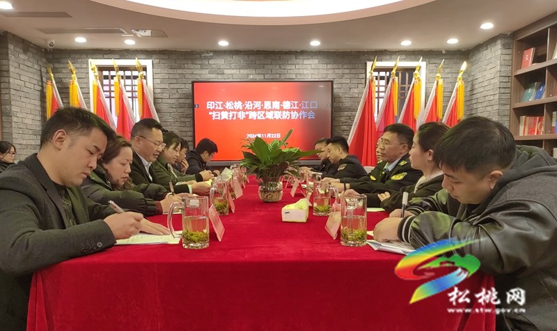 六縣聯(lián)動(dòng) 共筑文化市場(chǎng)新防線(xiàn)
