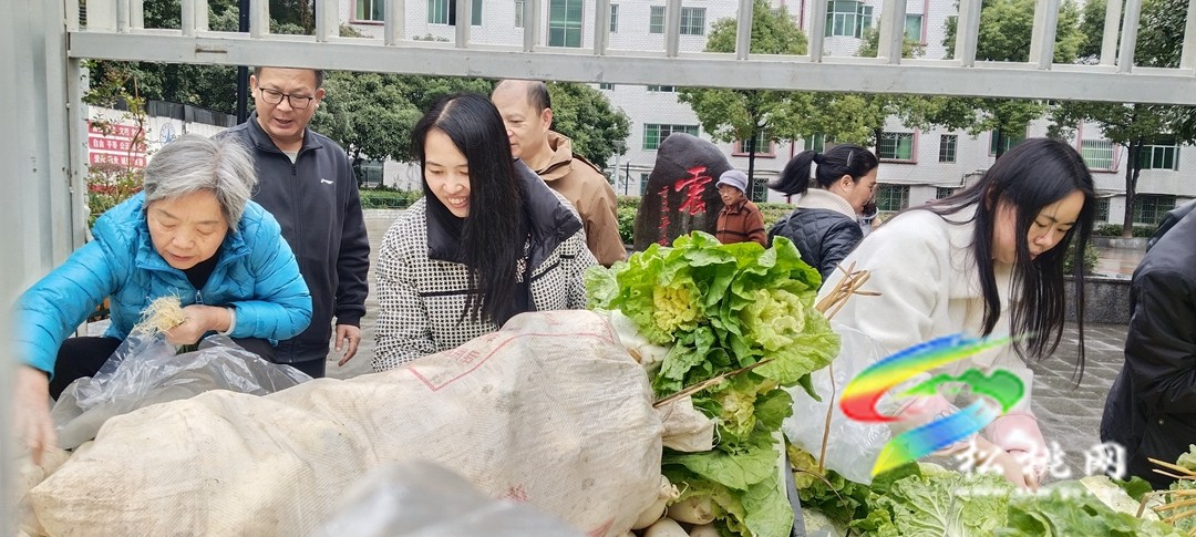 松桃岑洞壩村:定購(gòu)蔬菜送溫暖?結(jié)對(duì)幫扶心連心