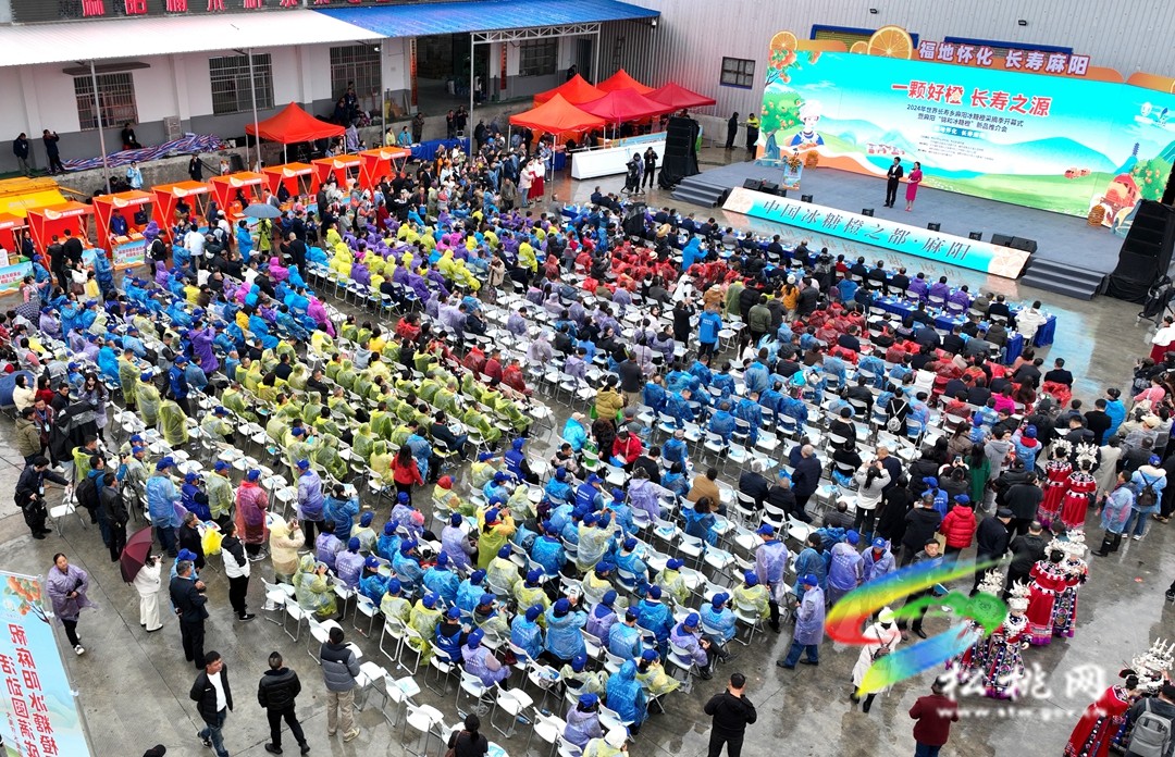 湘桂滇黔苗族自治縣第十一次苗族文化傳承與交流聯(lián)系會(huì)議在麻陽(yáng)召開