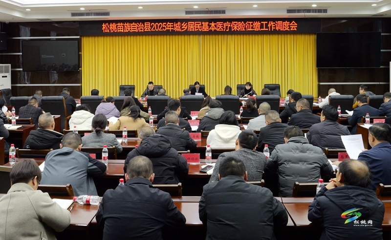 全縣2025年城鄉(xiāng)居民基本醫(yī)療保險征繳工作調(diào)度會召開